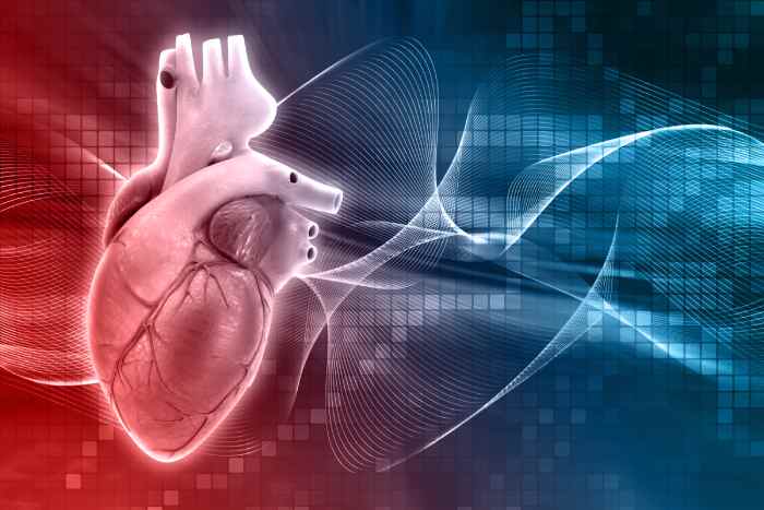 Cardiology Care